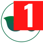prostavive-4mq.pages.dev favicon
